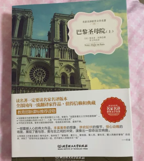 转让全新北京理工大学出版社《巴黎圣母院》，...