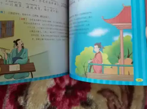 《宋词三百首》正版 东北师范大学出版社 注...