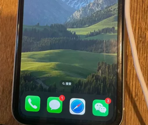 苹果11 国行双卡 9新左右 [1]电池效...