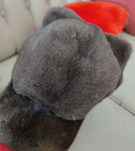 进口皮水貂皮帽子猫耳朵遮阳帽底绒厚皮子质量...