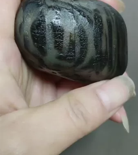 木化石，打灯透，比较有味道的一个，可以砸核...