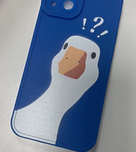 Apple/苹果店不开了,库存手机壳清仓,...