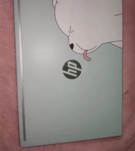 转卖惠普（HP）战66三代/四代【AMD锐...