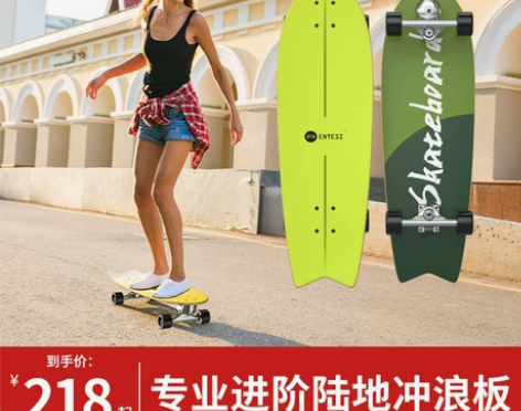 entesi陆地冲浪板滑板初学者路冲板冲浪...