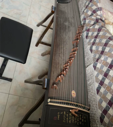 新韵 古筝 九无新 感兴趣的话点“我想要”...