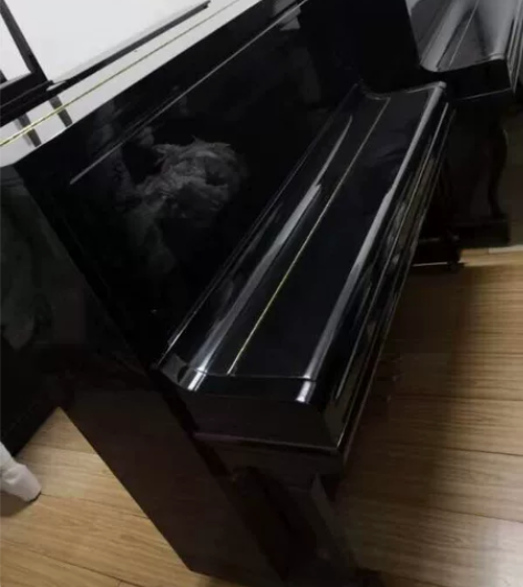 低价出售二手钢琴。 感兴趣的话点“我想要”...