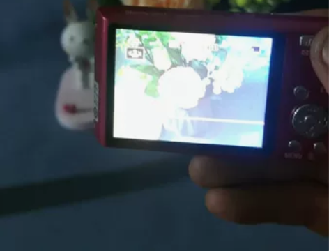 索尼W610相机，屏幕有一条线，不影响成像...