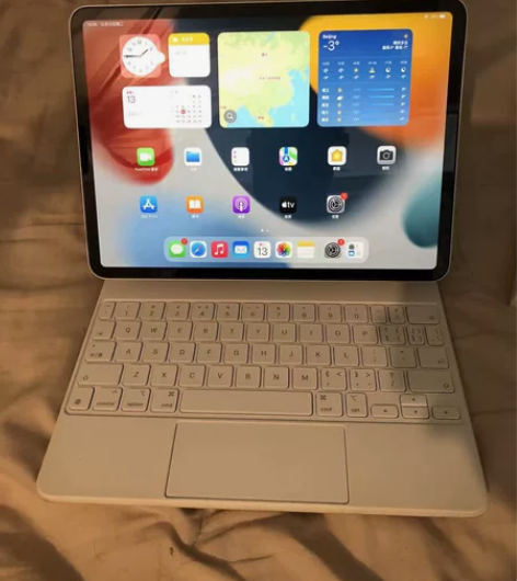iPad pro11寸2021款256g苹...