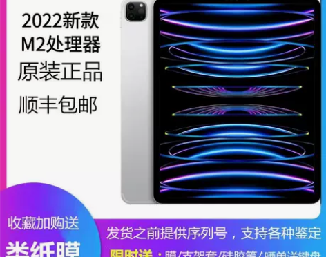 Apple/苹果 iPad Pro 11英...