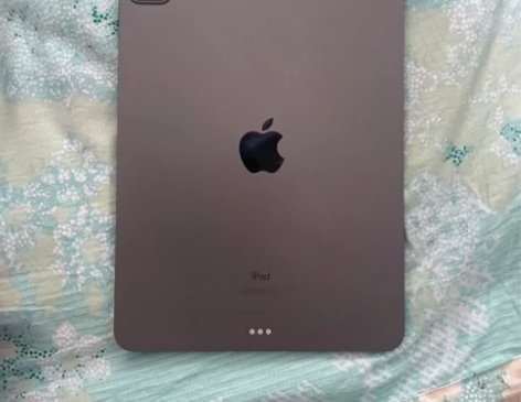 iPad pro 2021 wifi版 国...