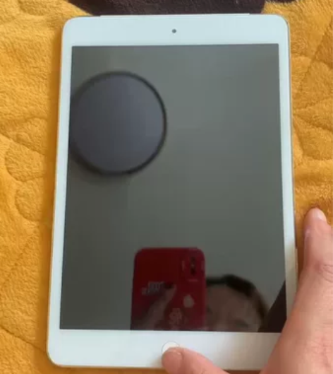 自用 ipad mini1 16G 国行 ...