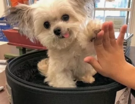 想要一个相机，卡西欧或者是佳能什么都可以（...