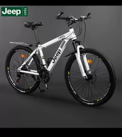 99新 买了就骑了四五次 27寸24速 原...