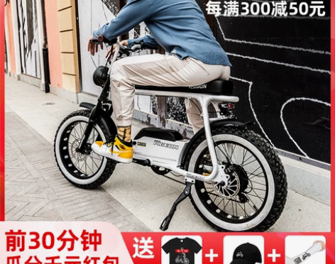 【礼遇价】飞鸽复古电动车锂电雪地越野助力男...