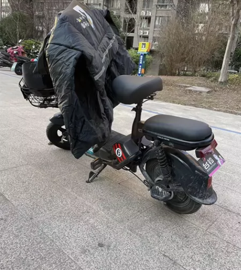 台铃电动车，九月份新换的电瓶，8成新 感兴...