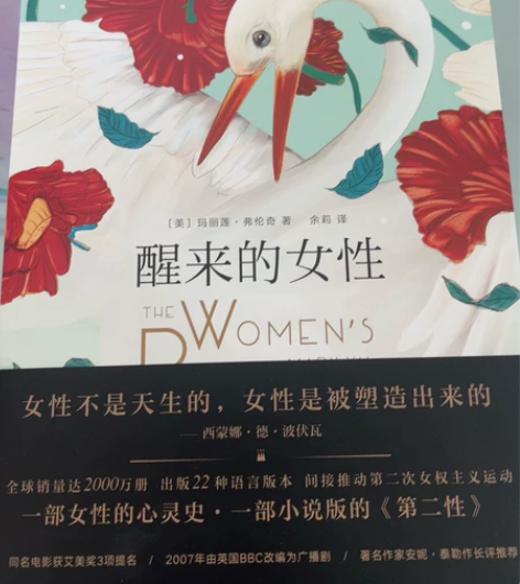 全新书籍～外国文学，女性文学～一本讲述了整...