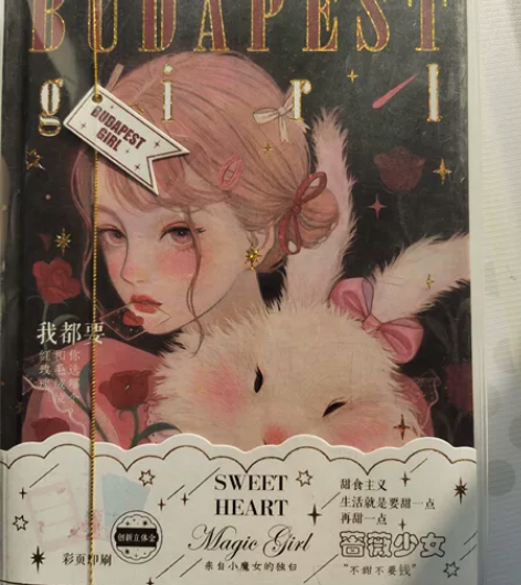 杂啊可爱少女心创意手绘插画精美笔记本记事本...
