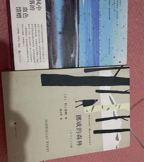 挪威的森林，海风中失落的血色馈赠，两本书几...