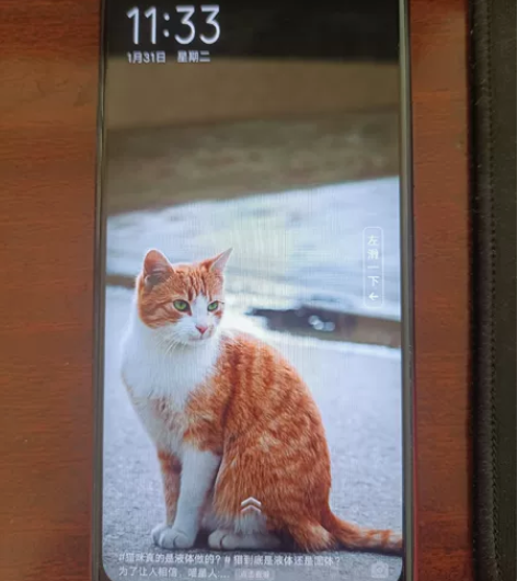 vivo U3x 骁龙665 内存3+32...