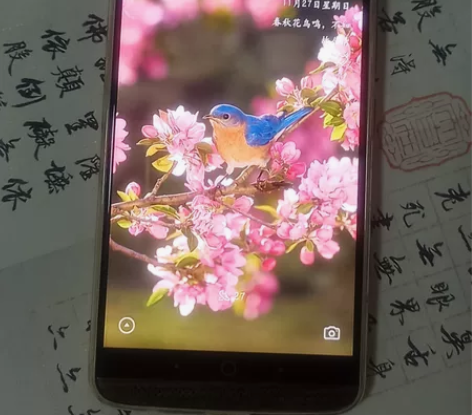 中兴天机7胡桃木顶配朗朗签名版手机 HiF...