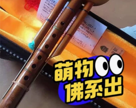 特价处理全新葫芦丝云南纯天然C调降B调凤尾...
