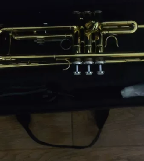 星海小号C调 买来几乎没用过，放了两年了无...