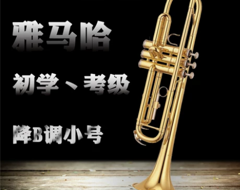 日本原装雅马哈小号乐器 降B调初学演奏YT...