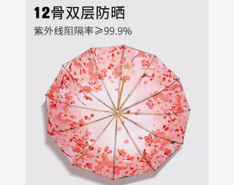 LY##amp；amp；SN双层12骨雨伞...