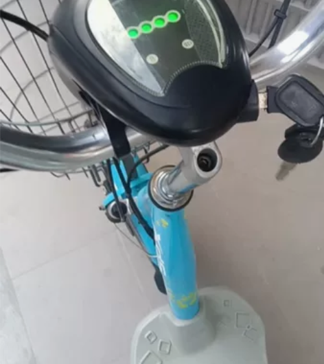 喜德盛48付老款，国标款最快时速25码，非...