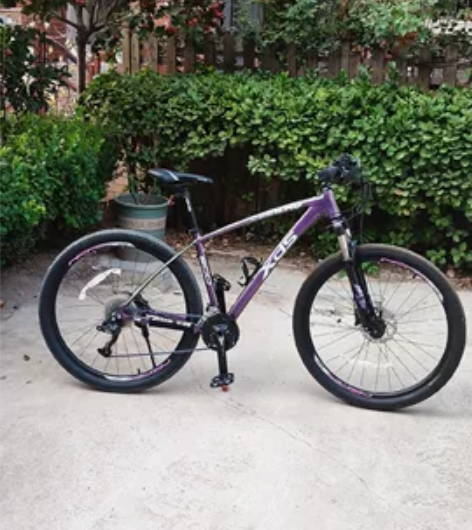 公司搬家骑不多了,个人一手出售喜德盛英雄6...