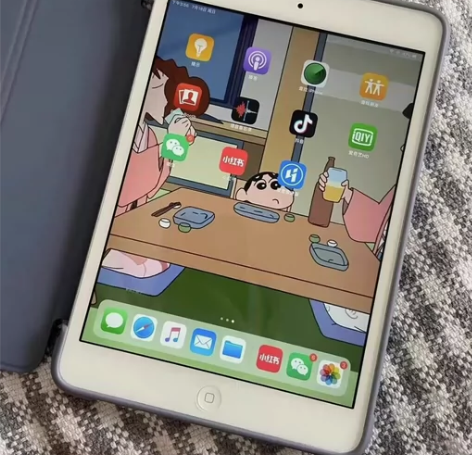 出自用的iPad 2018wifi版 12...