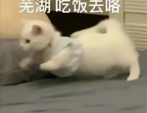 收物贴 包邮收急用钱的大哥看一下不收成色差...