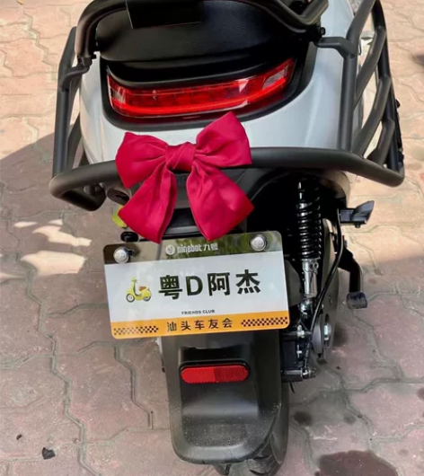 【九号电动】九友会 官方模板,别拿小作坊做...