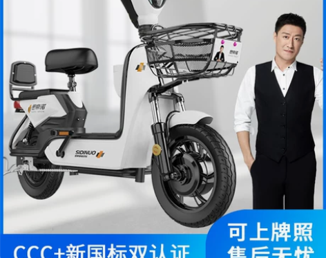 【狂欢价】思帝诺新国标48V新款电动车电动...