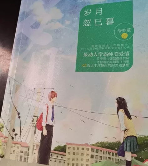 《岁月忽已暮》，校园言情小说，可作收藏，可...