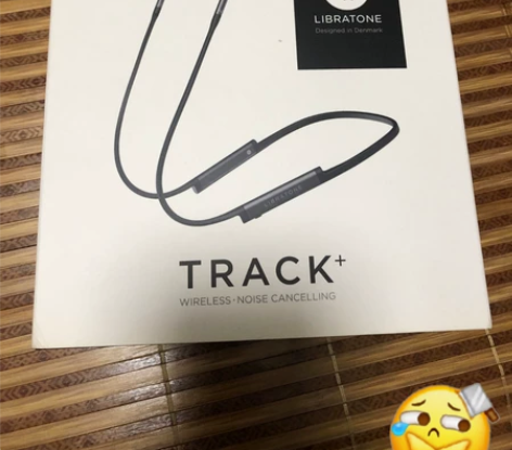 Libratone/小鸟耳机 TRACK入...