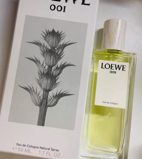 法国Loewe罗意威001事后清晨中性男款...
