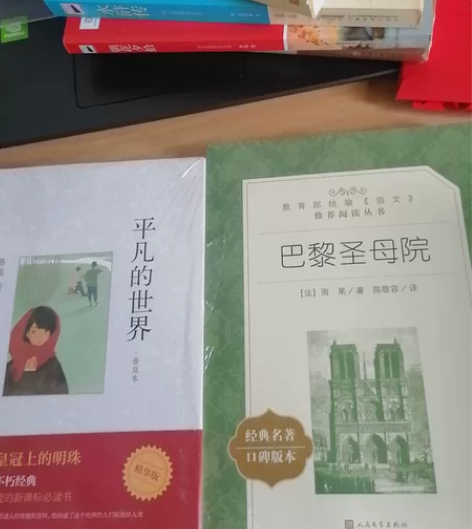 巴黎圣母院平凡的世界未开封包邮出 感兴趣的...