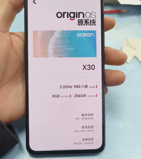 VIVO X30  8+256未拆修，屏显...