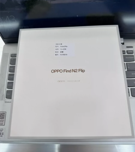OPPO Find N2 Flip 12G...