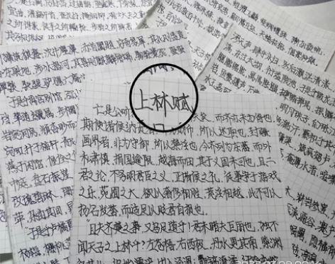 平时时间充足，代写、手写笔记、  都是本人...