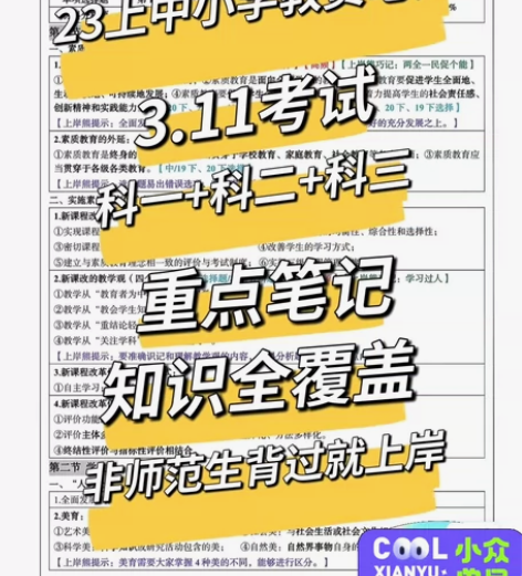 23年小学、中学教师资格证考试重点笔记本，...