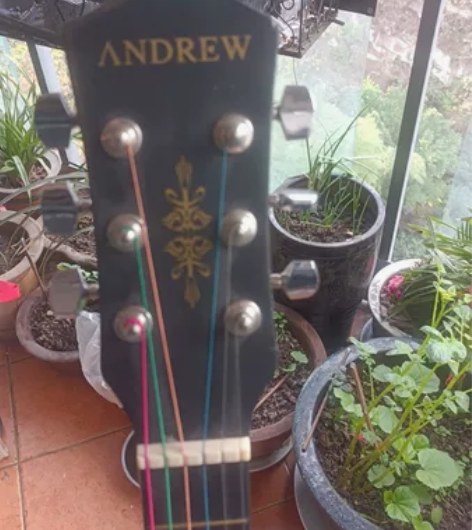 自用吉他 有磕碰 感兴趣的话点“我想要”和...