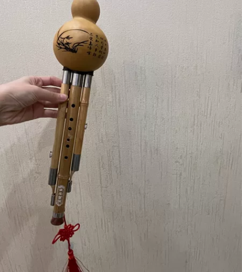 全新葫芦丝，适合初学入门 感兴趣的话点“我...