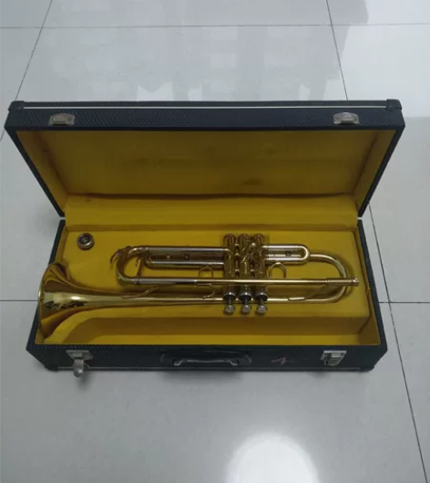 小号。bB调在用小号出售。无名无牌，有号嘴...