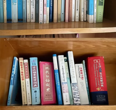 中外文学小说《巴黎烧了吗》《麦田里的守望者...