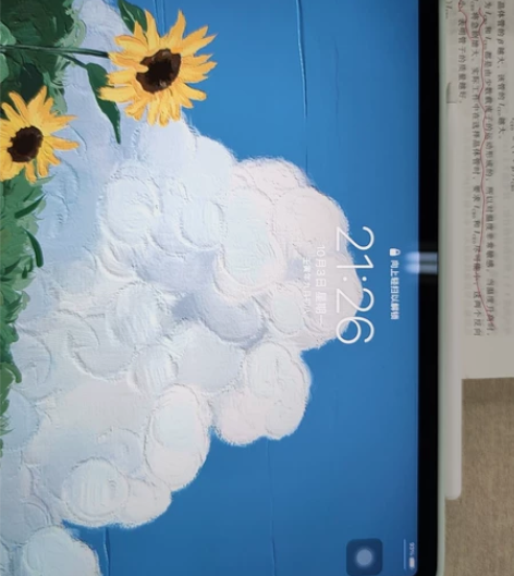 iPad 2021Pro 128g 深空灰...