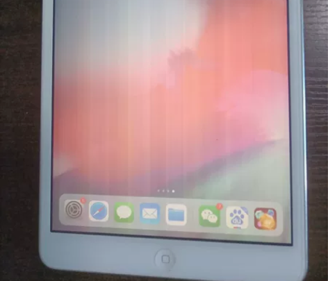 iPad mini 2，16g，自用，花屏...