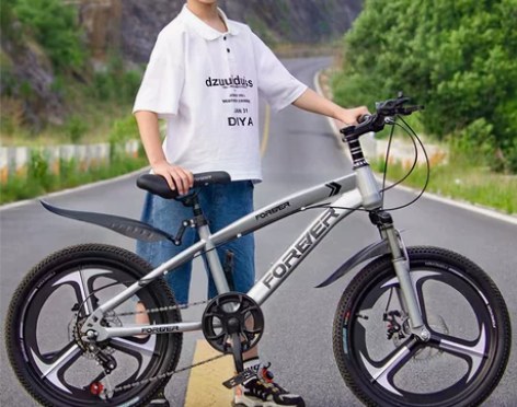 永久自行车儿童中大童6-8-10岁以上女孩...