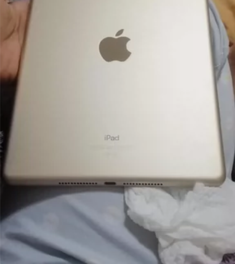 Apple iPad 平板电脑 9.7英寸...